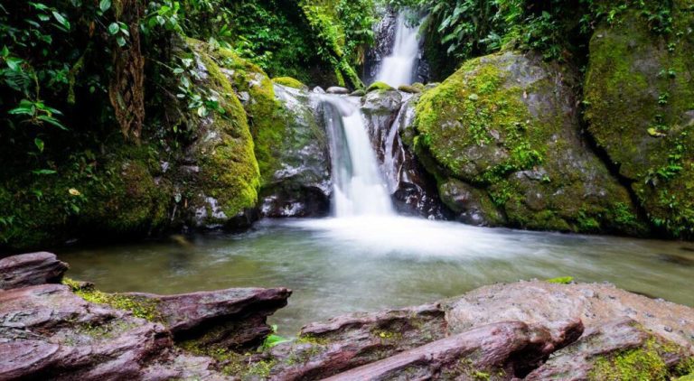 Rio-Mindo-Ecuador-2-1024x563