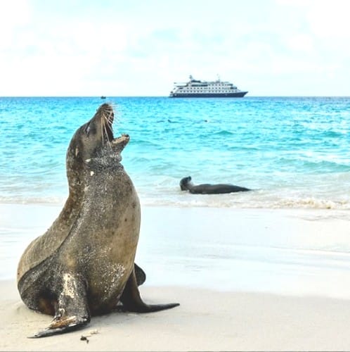 Galapagos Cruise Last Minute Deals Takiri Travel galapagos-cruise-last-minute-deals-takiri-travel