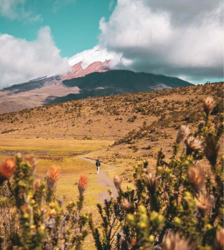 Marcos Cotopaxi-04