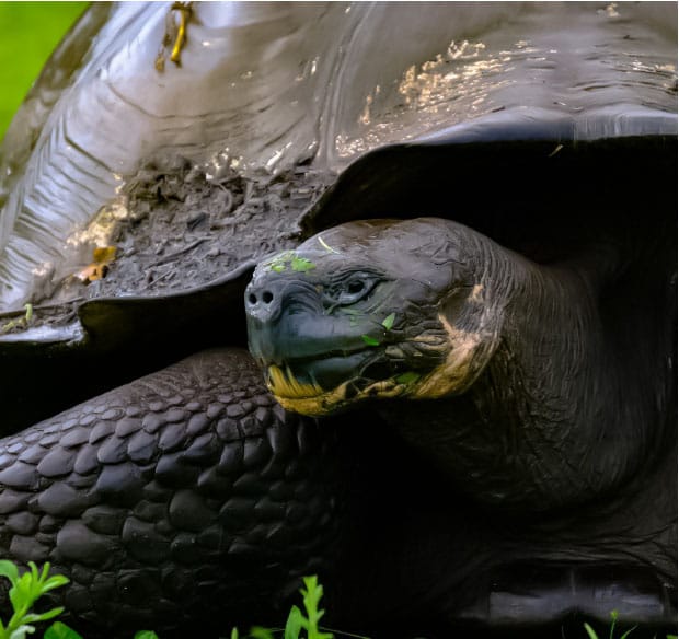 Galápagos-05