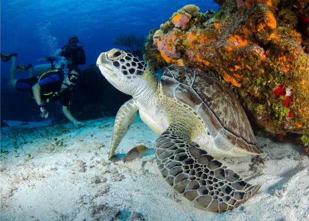 Galápagos-06