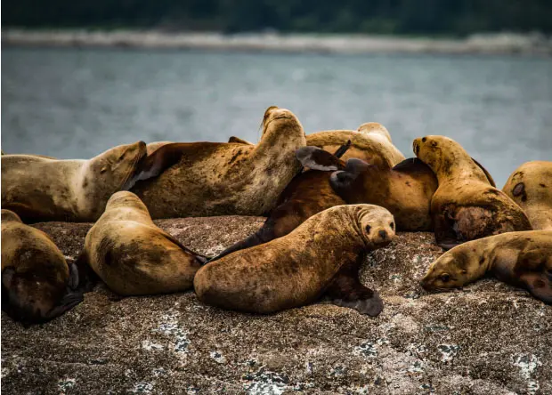 Galápagos-12