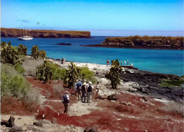 Galapagos Islands-12