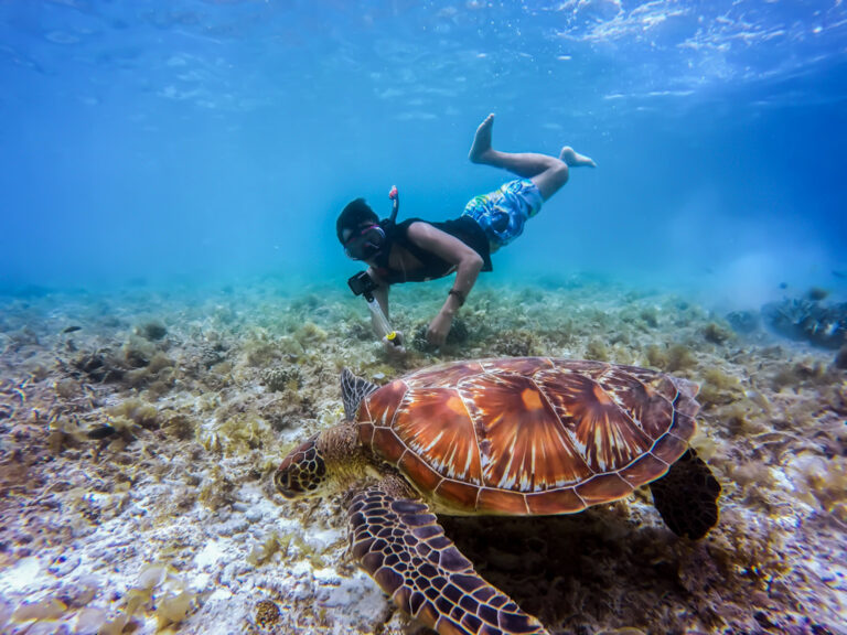 Galapagos Islands Snorkelling with turtle