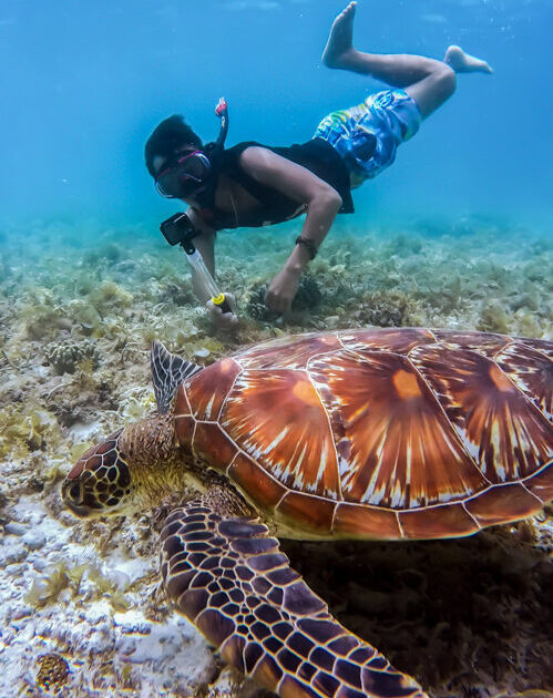 Galapagos on a Budget: 5 Days Experience