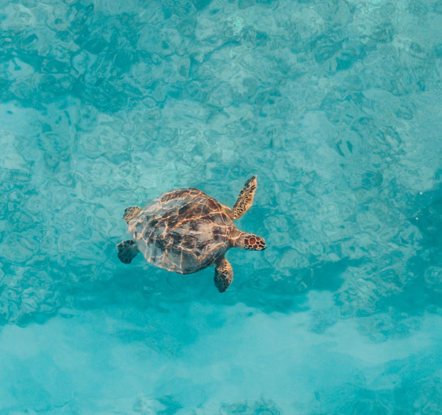 Galapagos Tours-02