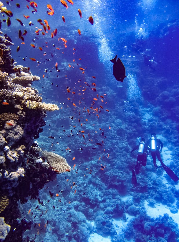 Galápagos Tours-07