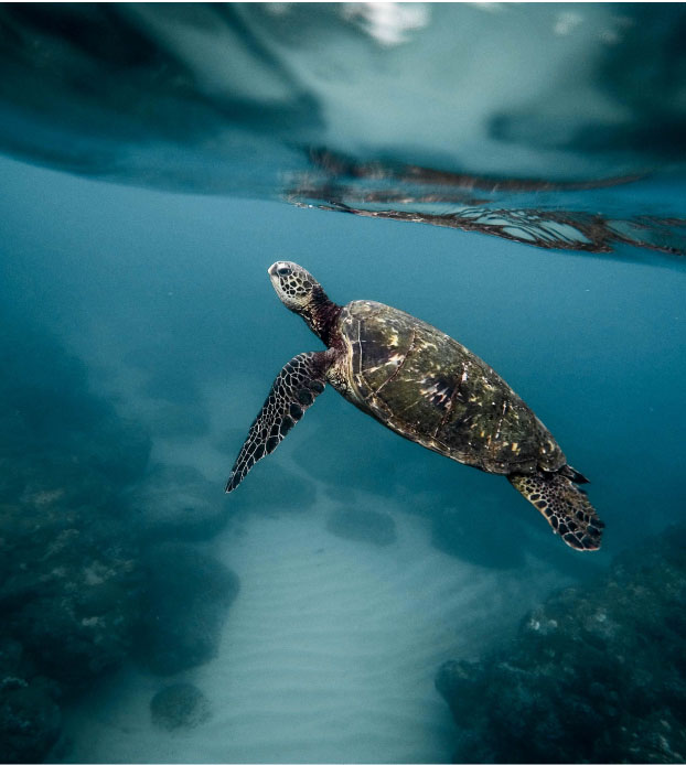 Galapagos Tours-10