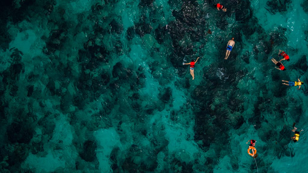 De isla en isla vs. En crucero por las Galápagos