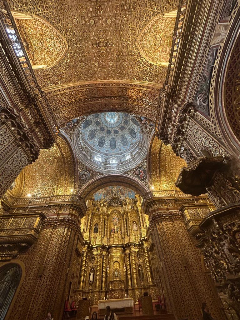 WhatsApp Image 2025-11-13 at 10.18.44