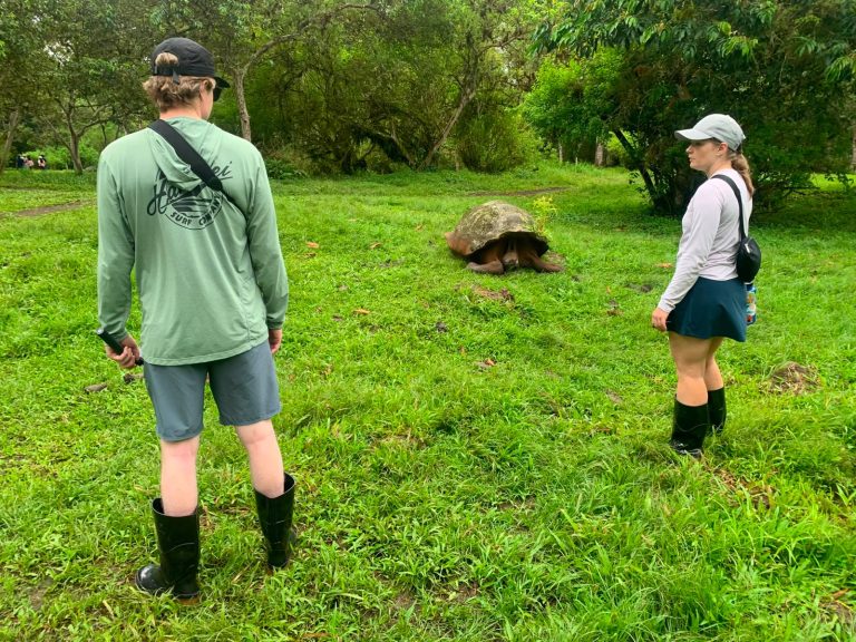 Travelers spotting Giant Tortoises in the highlands in Santa Cruz.